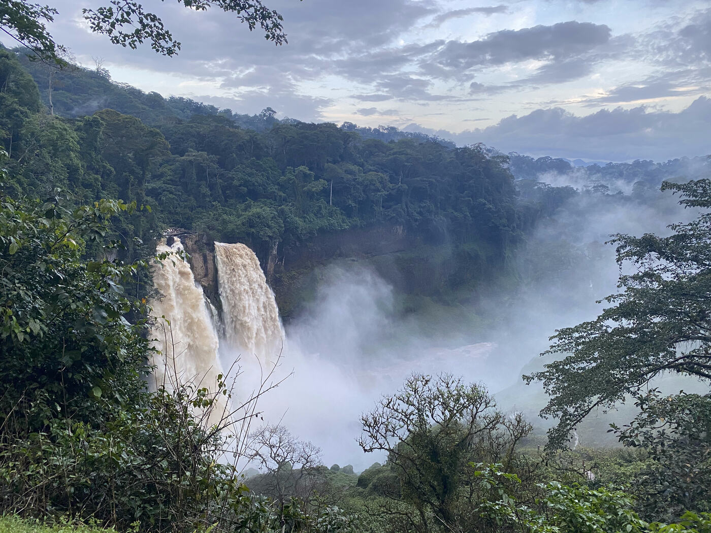 Cascade dans la forêt camerounaise