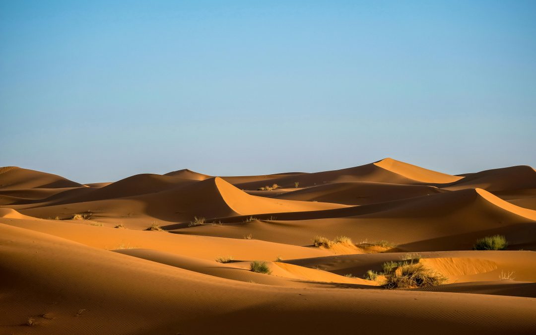 Du désert aux souks animés
