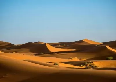 Du désert aux souks animés