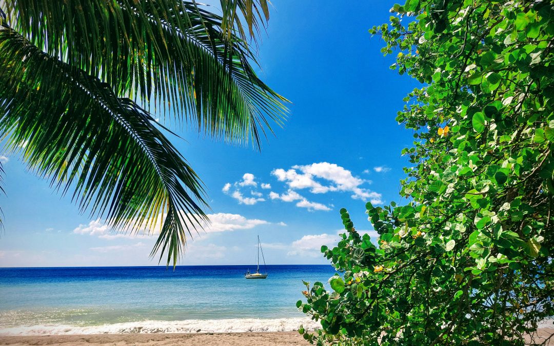 Martinique : Plages de rêve et culture créole
