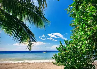 Martinique : Plages de rêve et culture créole
